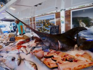 Come cucinare il Pesce Spada fresco e congelato: tipi di cottura, ricette, consigli e abbinamenti