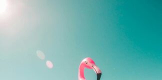 Cosa Mangiare in Spiaggia? Idee Pranzo Veloci, Leggere e Gustose
