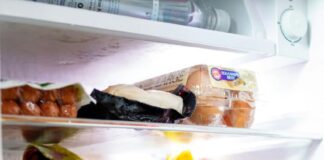 Guida Completa per Organizzare il Frigorifero Regole, Consigli e Disposizione degli Alimenti