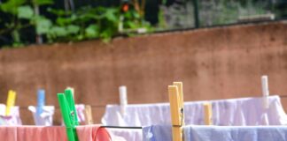 Come Rendere il Bucato Profumato a Lungo: Guida Completa su Cosa Usare, Consigli e Trucchi Efficaci