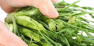 Come preparare le Puntarelle? Cosa sono, come si tagliano, ricette e idee sfiziose