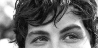 Logan Lerman chi è? Biografia, età, altezza, peso, carriera, partner, Instagram e vita privata