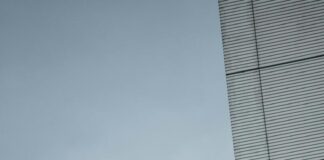 Chi è Godzilla? Storia, origine, che animale è, significato, nemico e curiosità