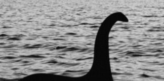 Mostro di Loch Ness che cos'è? Storia, origine, leggenda, che animale è, nome, significato e curiosità