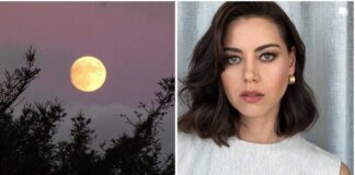 Aubrey Plaza chi è? Biografia, età, altezza, peso, figli, marito, carriera, Instagram e vita privata