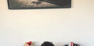 Luigi Fedele chi è? Biografia, età, altezza, peso, carriera, fidanzata, Instagram e vita privata