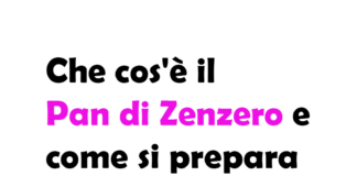 Che cos'è il Pan di Zenzero e come si prepara: Origine, Sapore, Quando Si Mangia e Consigli