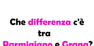 Che differenza c'è tra Parmigiano e Grana? Guida Completa