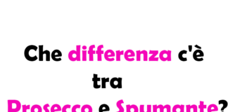 Che differenza c'è tra Prosecco e Spumante? Guida Completa