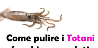 Come pulire i Totani freschi o congelati e come cucinarli, guida completa