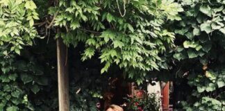 Nikolay Moss chi è? Biografia, età, altezza, peso, figli, moglie, carriera, Instagram e vita privata