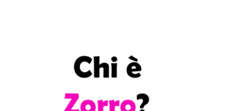 Chi è veramente Zorro?