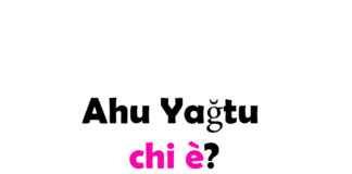 Ahu Yağtu chi è? Biografia, età, altezza e peso, figli, marito, carriera, Instagram e vita privata