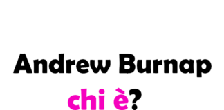 Andrew Burnap chi è? Biografia, età, altezza e peso, carriera, film, Instagram e vita privata