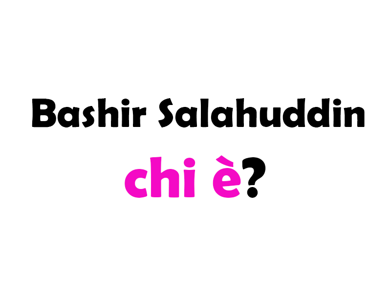 Bashir Salahuddin: biografia, carriera e vita privata dell'attore e comico americano