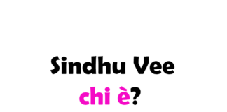 Sindhu Vee chi è? Biografia, età, altezza e peso, figli marito, carriera, Instagram e vita privata