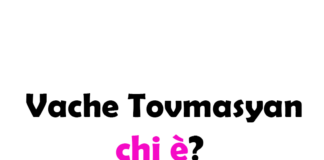 Vache Tovmasyan chi è? Biografia, età, altezza e peso, figli, moglie, carriera, Instagram e vita privata
