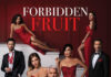 Forbidden Fruit, anticipazioni e trame dal 10 al 14 novembre 2025: nuovi colpi di scena tra Ender, Yildiz e Alihan Forbidden Fruit, anticipazioni e trame dal 10 al 14 novembre 2025