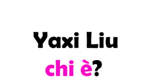 Yaxi Liu chi è?