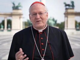 Chi è Péter Erdò – Cardinale ungherese? Biografia, età, da dove viene, Ministero e Cardinalato