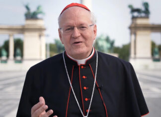Chi è Péter Erdò – Cardinale ungherese? Biografia, età, da dove viene, Ministero e Cardinalato