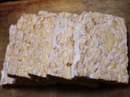 Con cosa mangiare o abbinare il Tempeh? Idee, abbinamenti e ricette sane e gustose