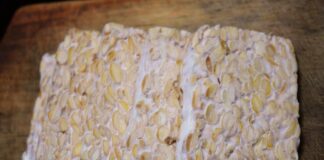 Con cosa mangiare o abbinare il Tempeh? Idee, abbinamenti e ricette sane e gustose