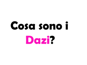 Cosa Sono i Dazi?