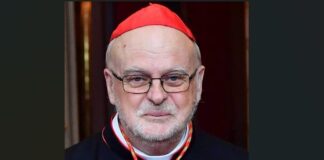 Lars Anders Arborelius chi è? Biografia, età, da dove viene, Ministero e Cardinalato