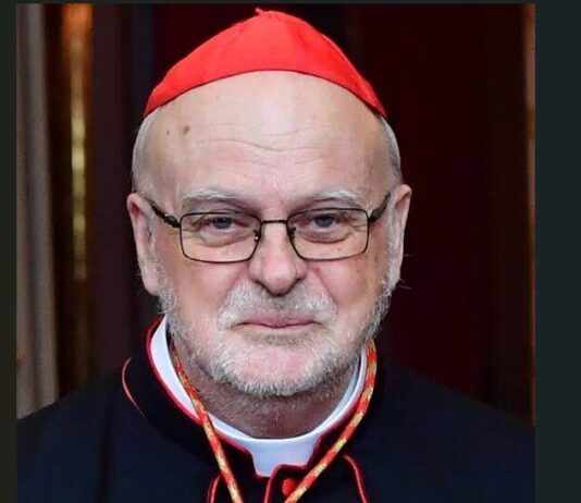 Lars Anders Arborelius chi è? Biografia, età, da dove viene, Ministero e Cardinalato
