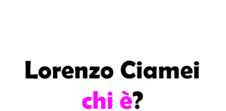 Lorenzo Ciamei chi è?
