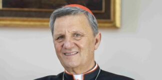 Mario Grech chi è? Biografia, età, da dove viene, Cardinale Maltese e Segretario Generale del Sinodo dei Vescovi