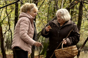 Sotto le foglie - film (Quand vient l'automne): cast, personaggi, trama, dove è stato girato e dove vederlo