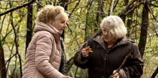 Sotto le foglie - film (Quand vient l'automne): cast, personaggi, trama, dove è stato girato e dove vederlo