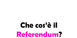 Che cos’è il Referendum?