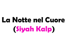 La Notte nel Cuore (Siyah Kalp): Trama, Cast, Episodi e Streaming