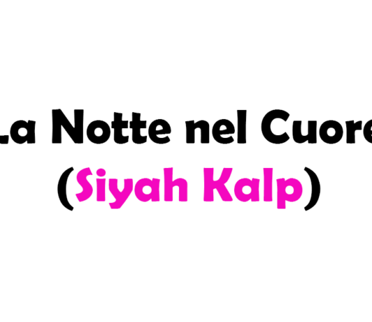 La Notte nel Cuore (Siyah Kalp): Trama, Cast, Episodi e Streaming