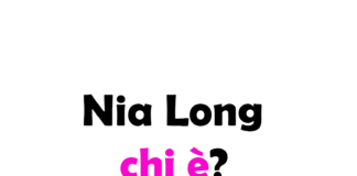 Nia Long chi è? Biografia, età, altezza e peso, figli, marito, carriera, Instagram e vita privata