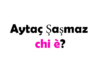 Aytaç Şaşmaz chi è?