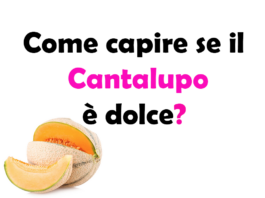 Come capire se il Cantalupo è dolce?