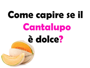 Come capire se il Cantalupo è dolce?