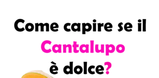 Come capire se il Cantalupo è dolce?