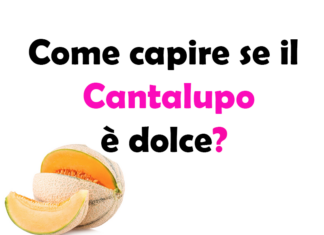 Come capire se il Cantalupo è dolce?