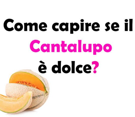 Come capire se il Cantalupo è dolce?