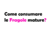Come Consumare le Fragole Mature? Idee Light e Ricette Fit per Non Sprecarle