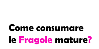 Come Consumare le Fragole Mature? Idee Light e Ricette Fit per Non Sprecarle