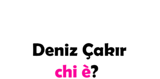 Deniz Çakır chi è? Biografia, età, carriera, serie TV famose, vita privata e Instagram
