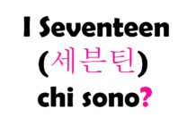I Seventeen (세븐틴) chi sono?