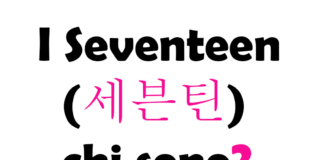 I Seventeen (세븐틴) chi sono?