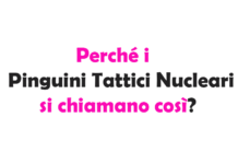 Perché i Pinguini Tattici Nucleari si chiamano così? Origine e significato del nome della band